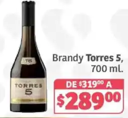 Soriana Híper Brandy Torres 5 oferta