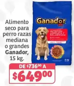 Soriana Híper Ganador Alimento seco para perro razas mediana o grandes oferta