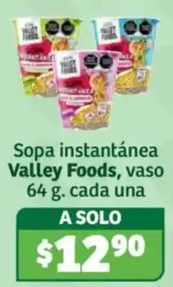Soriana Híper Valley Foods sopa instantánea oferta