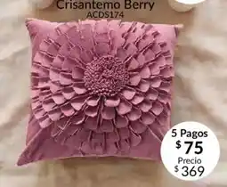 Colchas Concord Crisantemo Berry oferta