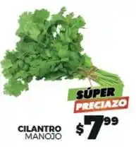 Merco Cilantro oferta