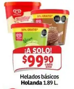 Soriana Mercado Helados básicos Holanda oferta