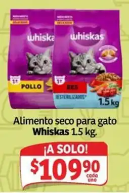 Soriana Mercado Whiskas Alimento seco para gato oferta