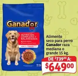 Soriana Mercado Ganador Alimento seco para perro raza mediana o grande oferta