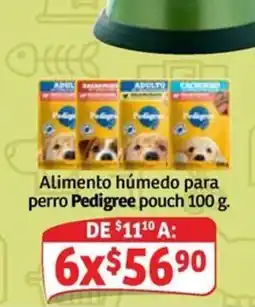 Soriana Mercado Pedigree Alimento húmedo para perro oferta