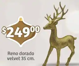 Soriana Mercado Reno dorado velvet oferta