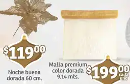 Soriana Mercado Noche buena dorada oferta