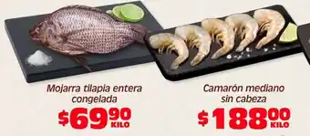 Mojarra tilapia entera congelada