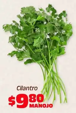 Soriana Híper Cilantro oferta
