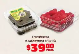 Soriana Híper Driscoll's frambuesa o zarzamora charola oferta