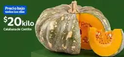 Walmart Calabaza de Castilla oferta