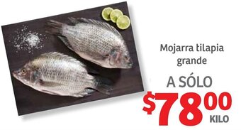 Soriana Híper Mojarra Tilapia Grande oferta