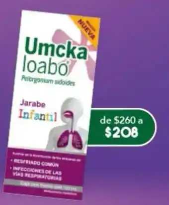 Umcka loabo Jarabe Infantil