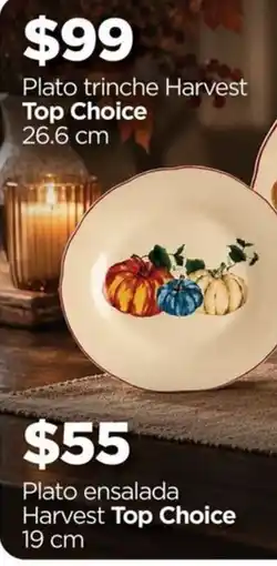 Chedraui Harvest Top Choice Plato trinche oferta