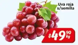 El Florido Uva roja s/semilla oferta