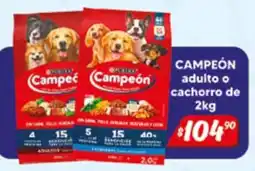 El Florido Campeón adulto o cachorro de 2kg oferta
