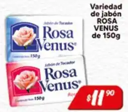 El Florido Rosa Venus oferta