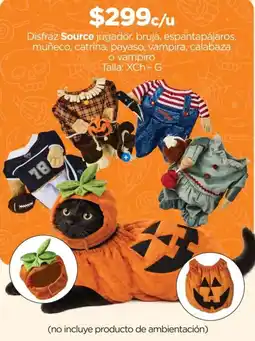 Chedraui Source disfraz jugador, bruja, espartapájaros, muñeco, catrina, payaso, vampira, calabaza o vampiro oferta