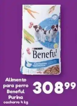 S-Mart Purina Beneful cachorro oferta
