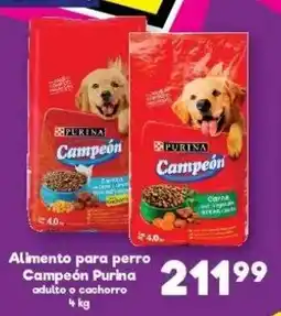 S-Mart Campeón Purina oferta