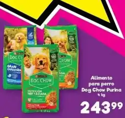 S-Mart Dog Chow Purina oferta