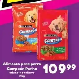 S-Mart Campeón Purina oferta