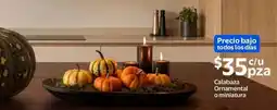 Walmart Express Calabaza Ornamental o miniatura oferta