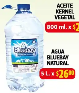Farmacias Guadalajara Agua Bluebay Natural oferta