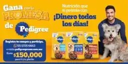 Farmacias Guadalajara Pedigree oferta