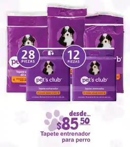 Fresko pet's club Tapete entrenador para perro oferta