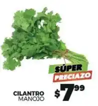 Merco Cilantro oferta