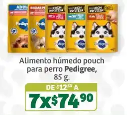 Soriana Súper Pedigree Alimento húmedo pouch para perro oferta