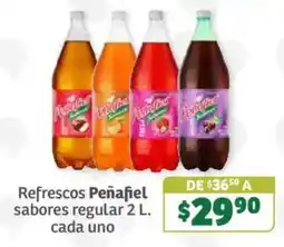 Soriana Súper Refrescos Peñafiel oferta