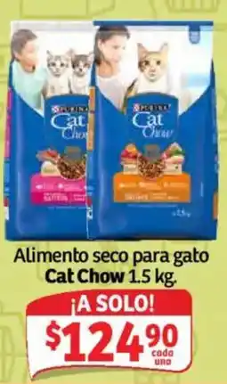 Soriana Mercado Cat Chow oferta