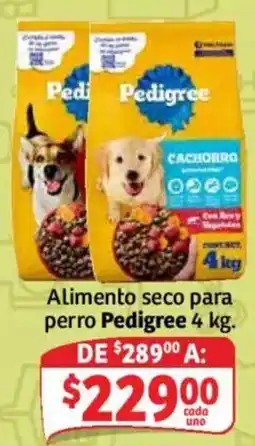 Soriana Mercado Pedigree Alimento seco para perro oferta