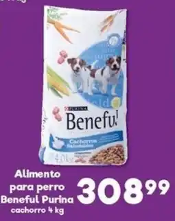S-Mart Purina Beneful cachorro oferta
