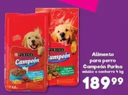S-Mart Purina Campeón oferta