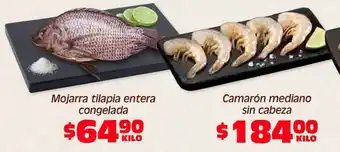 Mojarra tilapia entera congelada