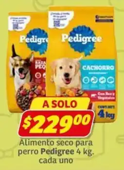 Soriana Express Pedigree Cachorro oferta