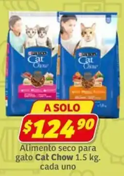 Soriana Express cat chow oferta