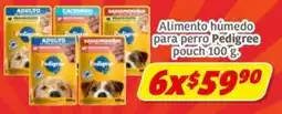 Soriana Express Pedigree Alimento húmedo para perro oferta