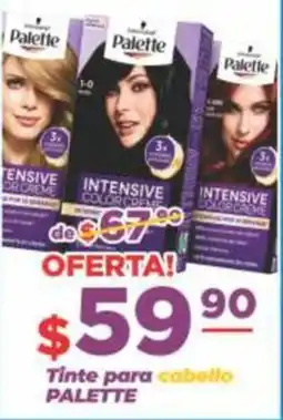 Super Gutiérrez Palette Tinte para cabello oferta