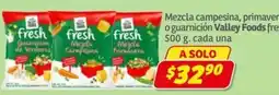 Soriana Express Fresh Mezcla Campesina oferta