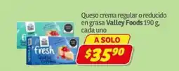 Soriana Express Valley Foods Queso crema regular o reducido en grasa oferta