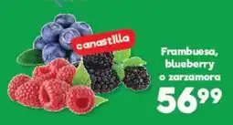 S-Mart canastilla Frambuesa, blueberry o zarzamora oferta