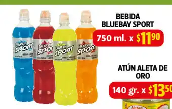 Farmacias Guadalajara Bebida Bluebay Sport 750 ml oferta