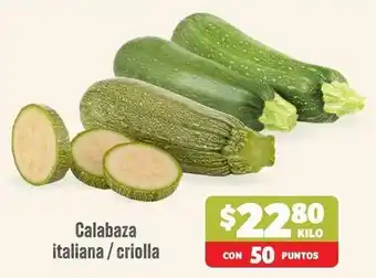 Calabaza italiana / criolla