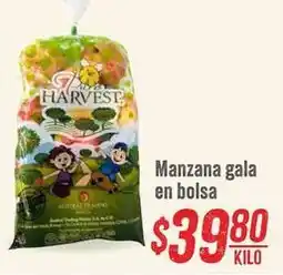 Soriana Híper Manzana - gala en bolsa oferta