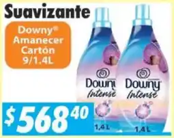 Casa Ley Downy Amanecer Cartón oferta