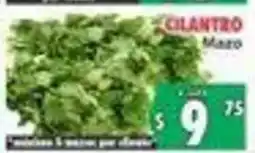 Casa Ley Cilantro Mazo oferta